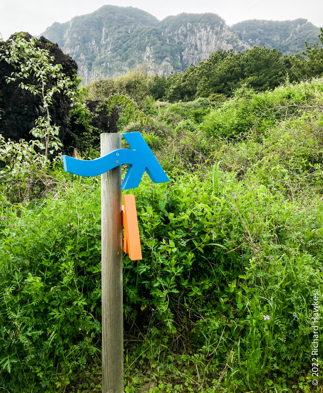 Hiking The Wonderful Jeju Olle Trail Roamad