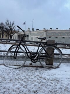 Our New Year’s Eve was a 10-to-12 rush to a bar from Helsinki airport on our 20-hour layover. Some random Finnish shots were recommended and drunk. The next day was spent wandering the town. Two salmon sandwiches and one salmon soup. Nice city. Wasn’t attacked by a Moomin but came close