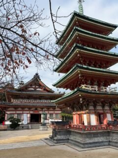 #kousanji temple in #setoda on #ikuchi island, included the Cave of a Thousand Buddhas, and the Hill of Hope stone park. 
Day two of my Shimanami Kaido trip was spent coasting around Setoda where my guesthouse is. 
#shimanamikaido #caveofathousandbuddhas #hillofhope