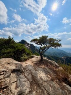 Up Uisangbong #의상봉 before the temple. Great skies. Loving the autumn weather, didn’t even break a sweat. Saw a dragonfly on probably its last flight