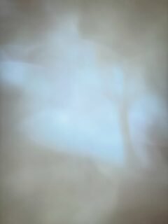 Another trouser pocket photo