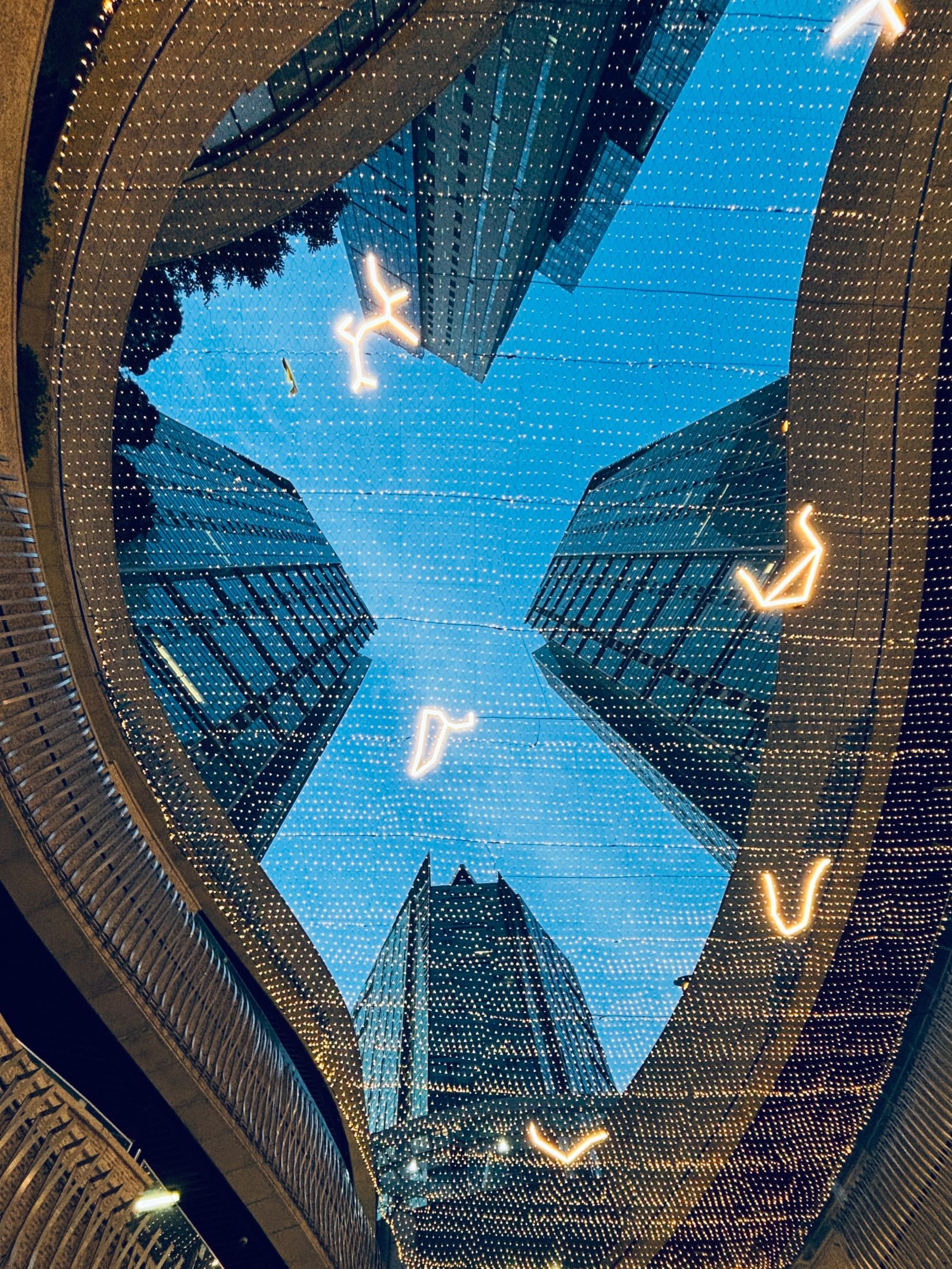 Looking up