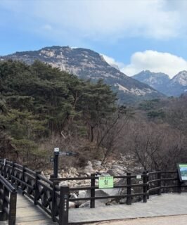 First hike of 2026, started clear and sunny and by the time I got to the peak of #Wonhyobong it was snowing and blowing pretty hard! Saw a few groups of kitty cats and three packs of dogs. One group of dogs was trying to catch a squirrel but of course it ran up a tree. Winter is coming so I guess time is gonna be hard for them.