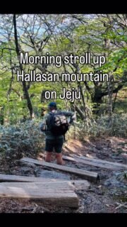 @khawkes42 and I walked up the Eorimok trail and down the Yeongsil trail on Hallasan mountain, Jeju. Visible half moon and lots of vapor trails. Beautiful weather