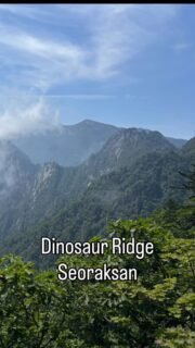 Some snaps from the Dinosaur Ridge on Seoraksan. Photos don’t capture the epic size or depth unfortunately. There were clouds, critters, canyons and crevices. Took me about 10 hours from the park entrance up to the shelter.